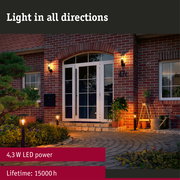 230 V Filament LED Pear E27 insect friendly 420lm 4,3W 2200K Clear