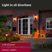 230 V Filament LED Pear E27 insect friendly 420lm 4,3W 2200K Clear