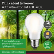 White LED bulb with E27 base, warm white dimmable in three steps, ultra-efficient LED lamp