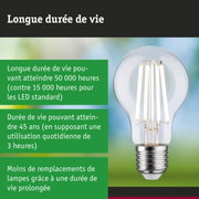 Ampoule LED durable tenue en main, lampe LED économique avec durée de vie de 50 000 heures.