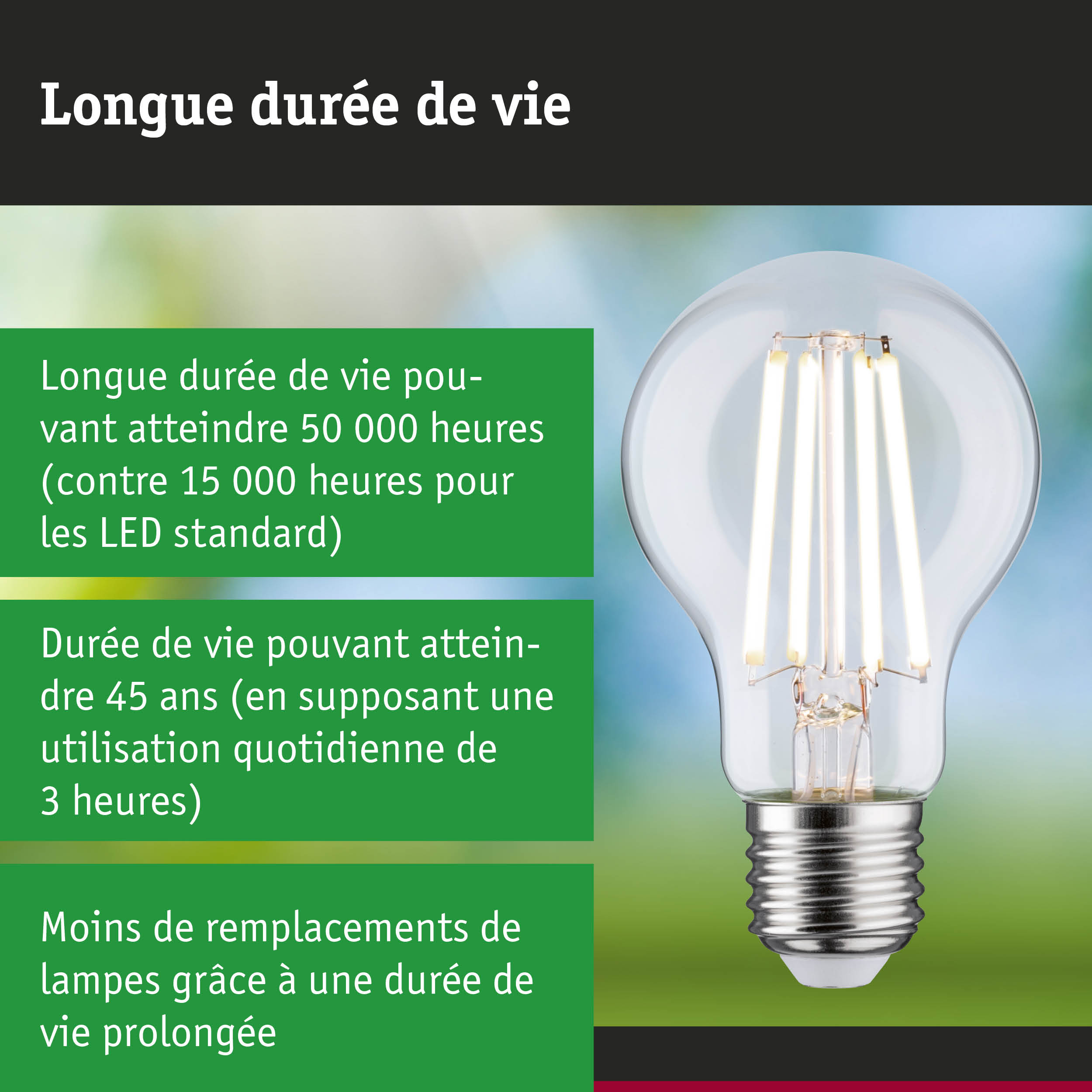 Ampoule LED durable tenue en main, lampe LED économique avec durée de vie de 50 000 heures.