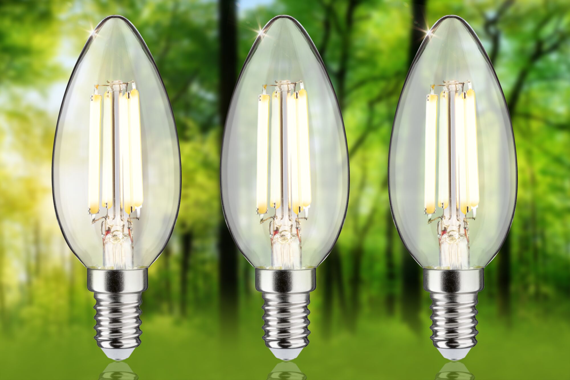 Drei klare LED-Kerzenlampen mit E14-Fassung vor grünem Waldhintergrund für energiesparende Beleuchtung