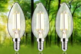 Three clear LED candle bulbs with E14 base against green forest background for energy-saving lighting
