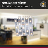Bande LED MaxLED 250 blanc chaud avec circuit flexible argenté pour éclairage intérieur