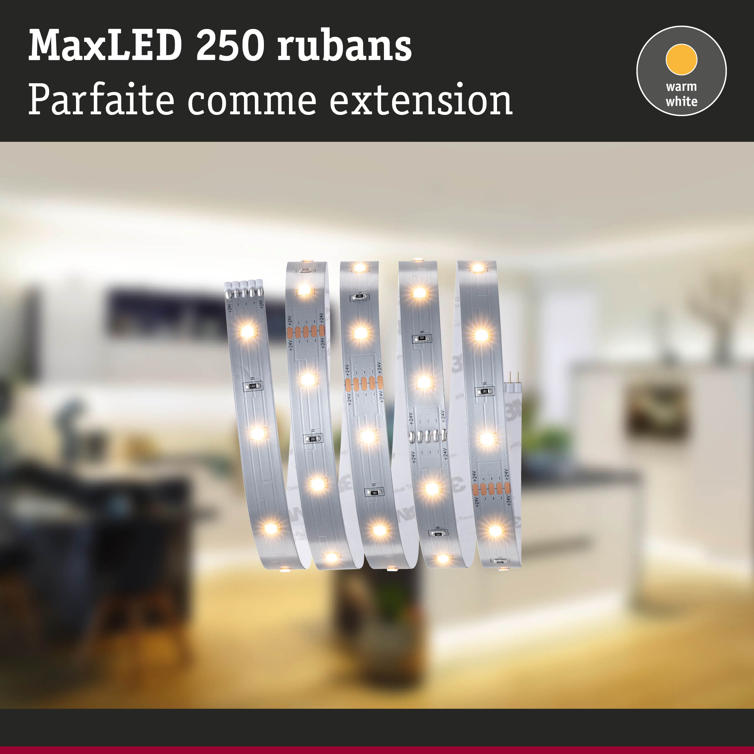 Bande LED MaxLED 250 blanc chaud avec circuit flexible argenté pour éclairage intérieur