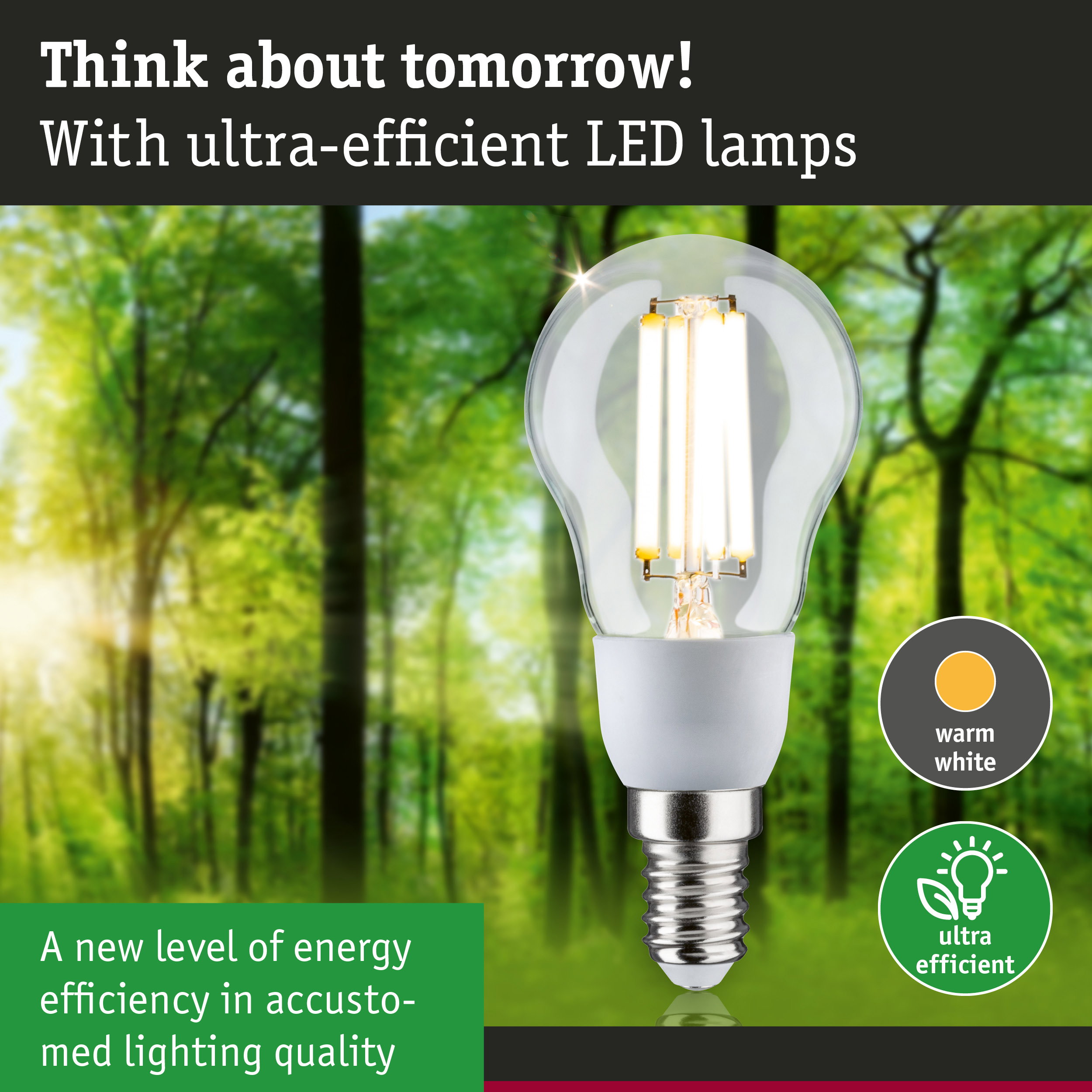 Energy-saving LED lamp with warm white light and high efficiency against green forest background