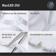MaxLED 250 LED-strip met plakband, 30 LEDs per meter, knipbaar en eenvoudig te verbinden