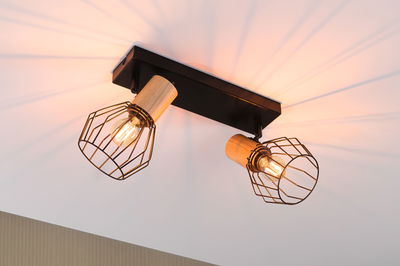 Ceiling light with two black metal cage shades and wood accents, warm lighting for living spaces