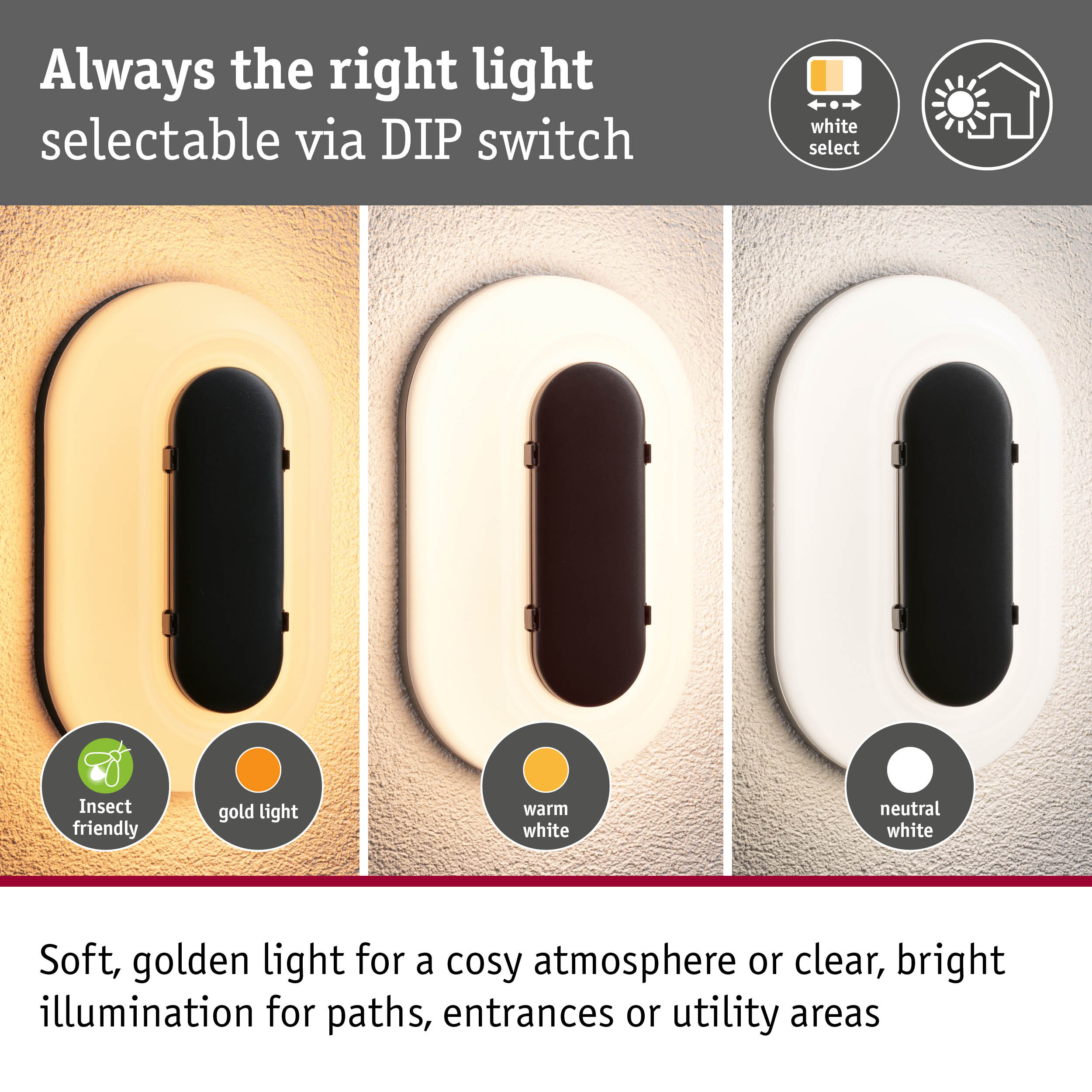LED Exterior wall light Elunor IP65 elongated 122x212mm 2200 - 4000K 18,5W 1460lm 230V Anthracite/White Polycarbonate