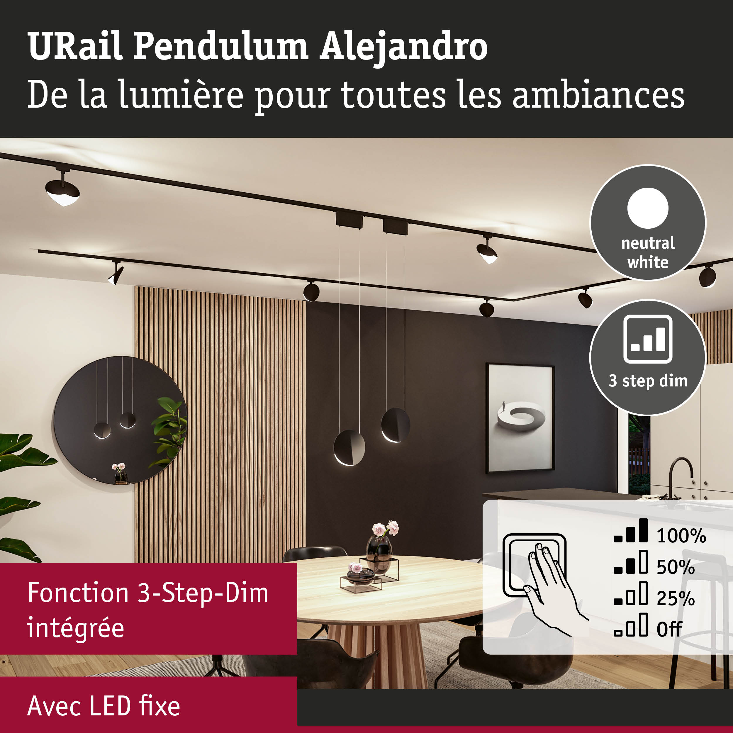 Luminaire de plafond URail Pendulum Alejandro noir avec fonction 3-step dim intégrée pour salon