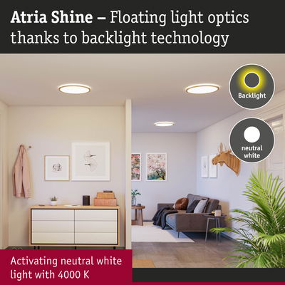 Atria Shine ceiling lights with neutral white 4000K light in bright living room with sofa and plants