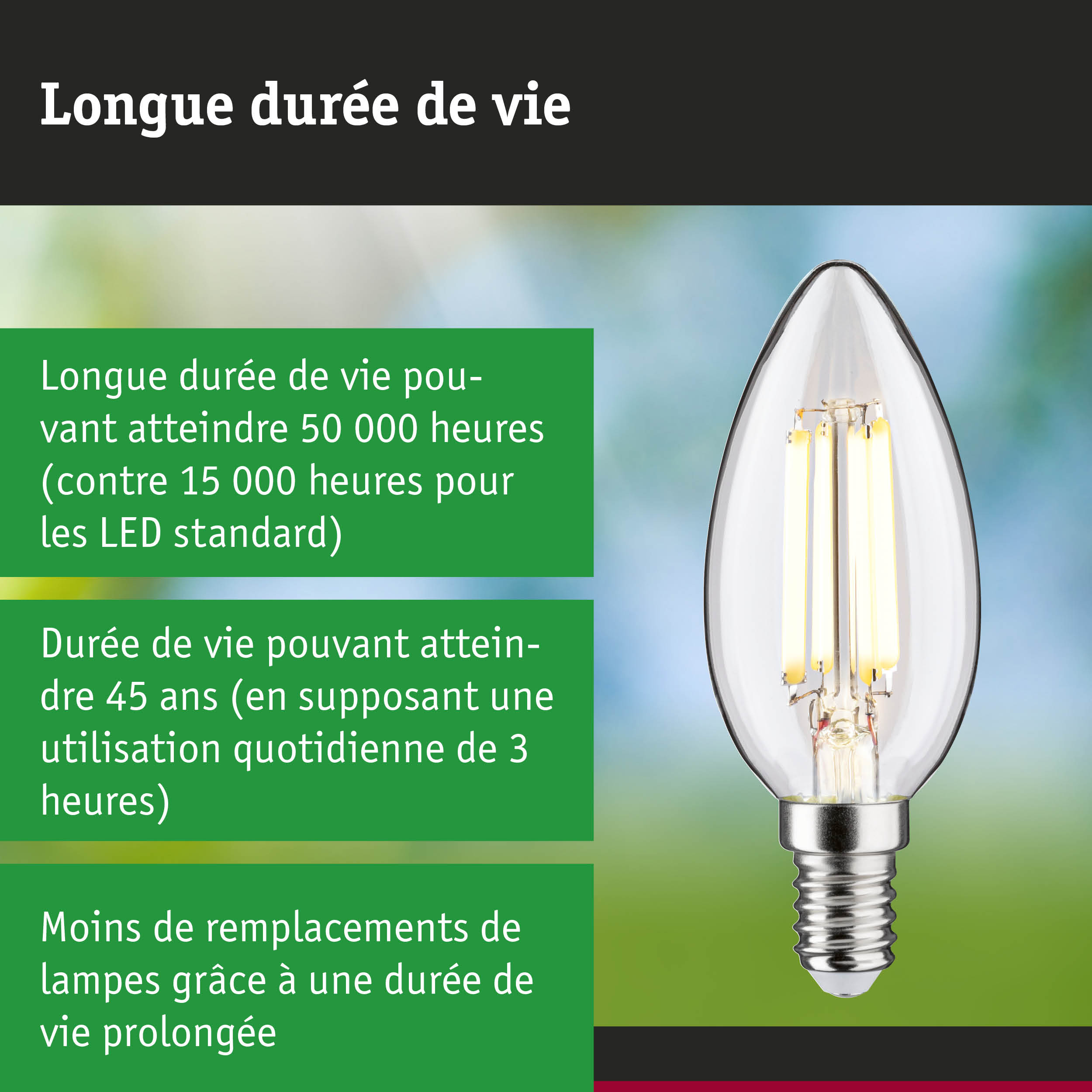 Ampoule LED en forme de bougie avec longue durée de vie et technologie économique en énergie