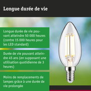 Ampoule LED en forme de bougie avec longue durée de vie et technologie économique en énergie