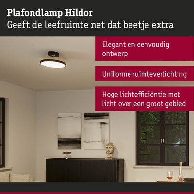Moderne plafondlamp Hildor met elegant ontwerp en uniforme verlichting in zwart-wit uitvoering