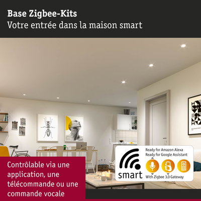Kit Zigbee smart home contrôlable par application, télécommande ou commande vocale pour éclairage connecté