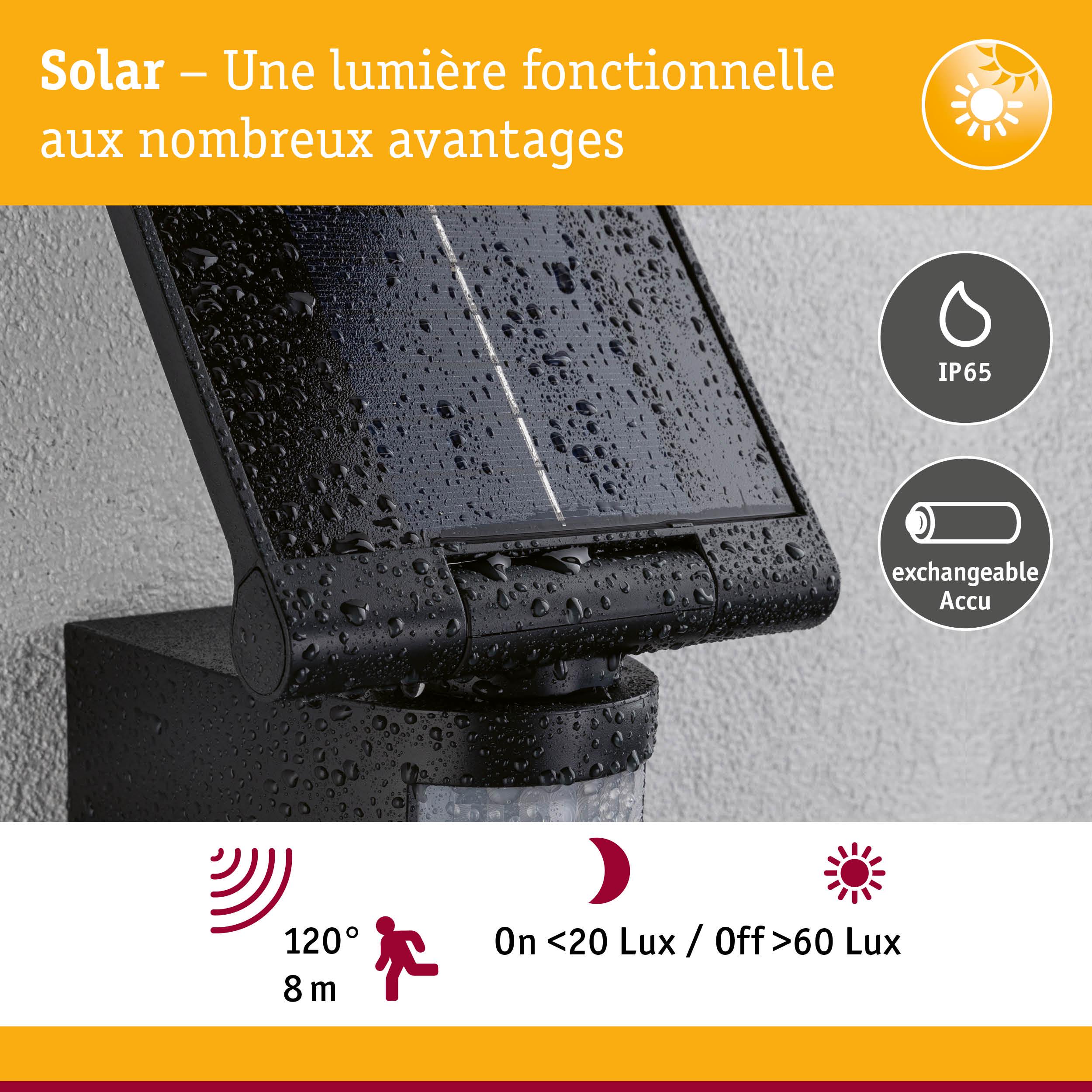 Lumière solaire noire avec protection IP65 et batterie échangeable, idéale pour éclairage extérieur avec détecteur.