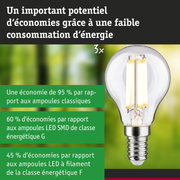 Ampoule LED économique avec verre transparent et culot E14 pour un éclairage durable
