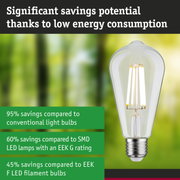 Energy-saving clear glass LED light bulb with silver base for efficient sustainable lighting