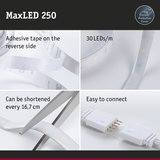 MaxLED 250 LED strip with adhesive tape, 30 LEDs per meter, cuttable every 16.7 cm, easy to connect