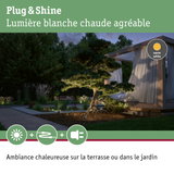 Jardin avec arbre éclairé en blanc chaud et pergola en bois moderne avec rideaux au crépuscule