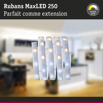 Rubans MaxLED 250 bande LED avec lumière blanche réglable, extension parfaite pour l’éclairage intérieur