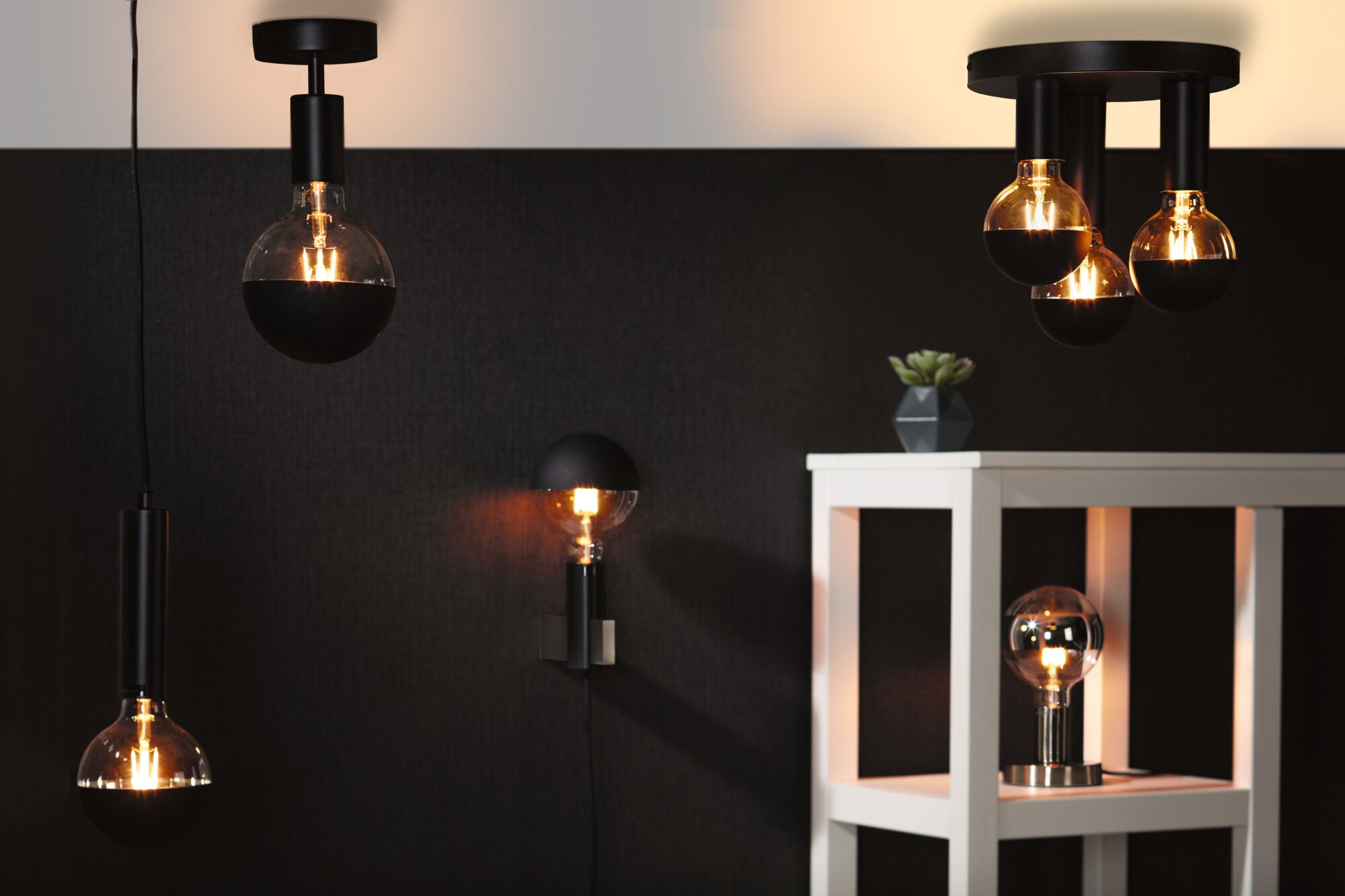 Moderne schwarze Leuchten mit halbdurchsichtigen Glühbirnen in Wohnraum mit weißem Regal und Pflanze.