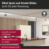 URail Spots und Pendel Hildor mit neutralweißem LED-Licht in moderner Küche mit Holzpaneelen