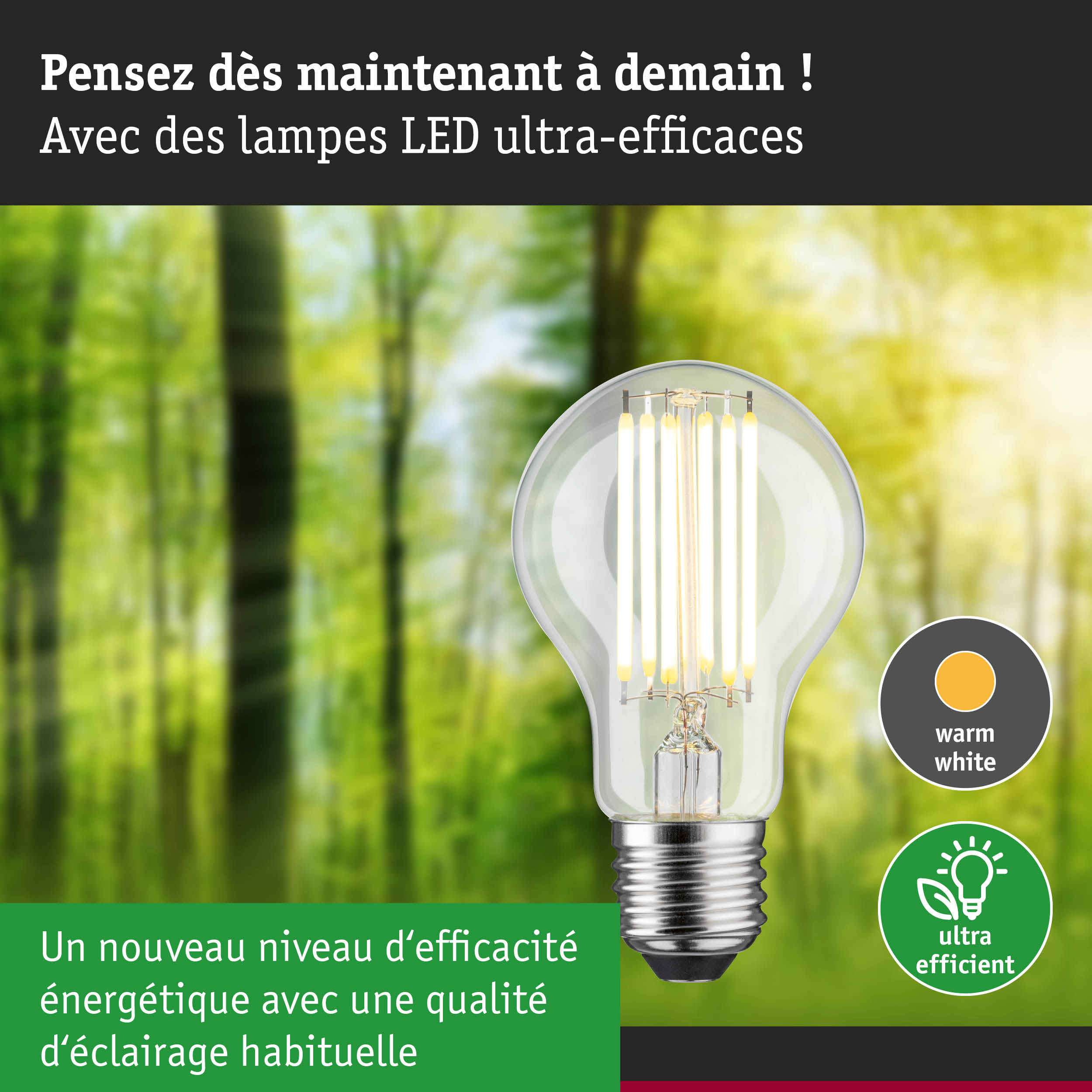 Ampoule LED lumière blanc chaud avec haute efficacité énergétique sur fond de forêt verte