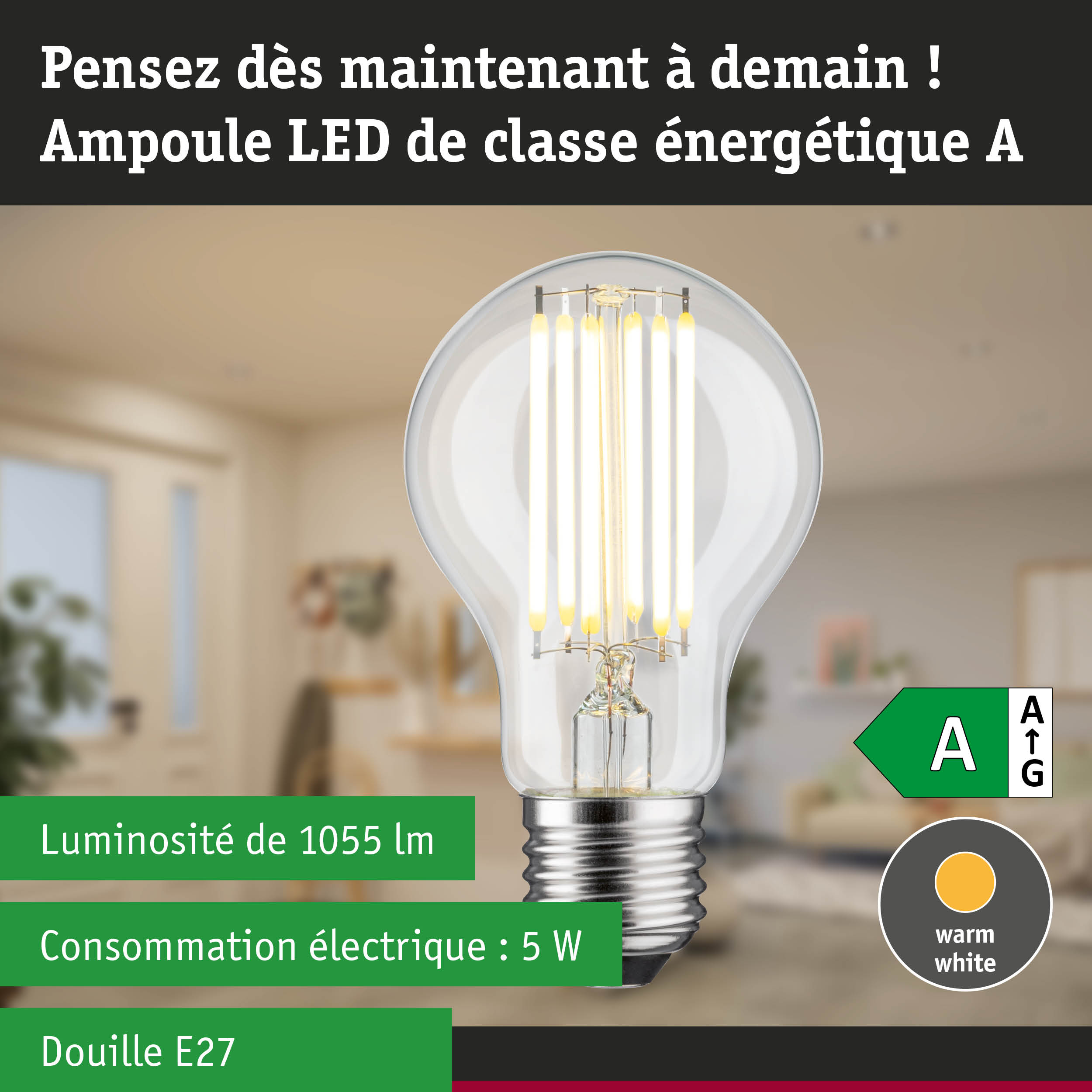 Ampoule LED lumière blanc chaud avec haute efficacité énergétique sur fond de forêt verte