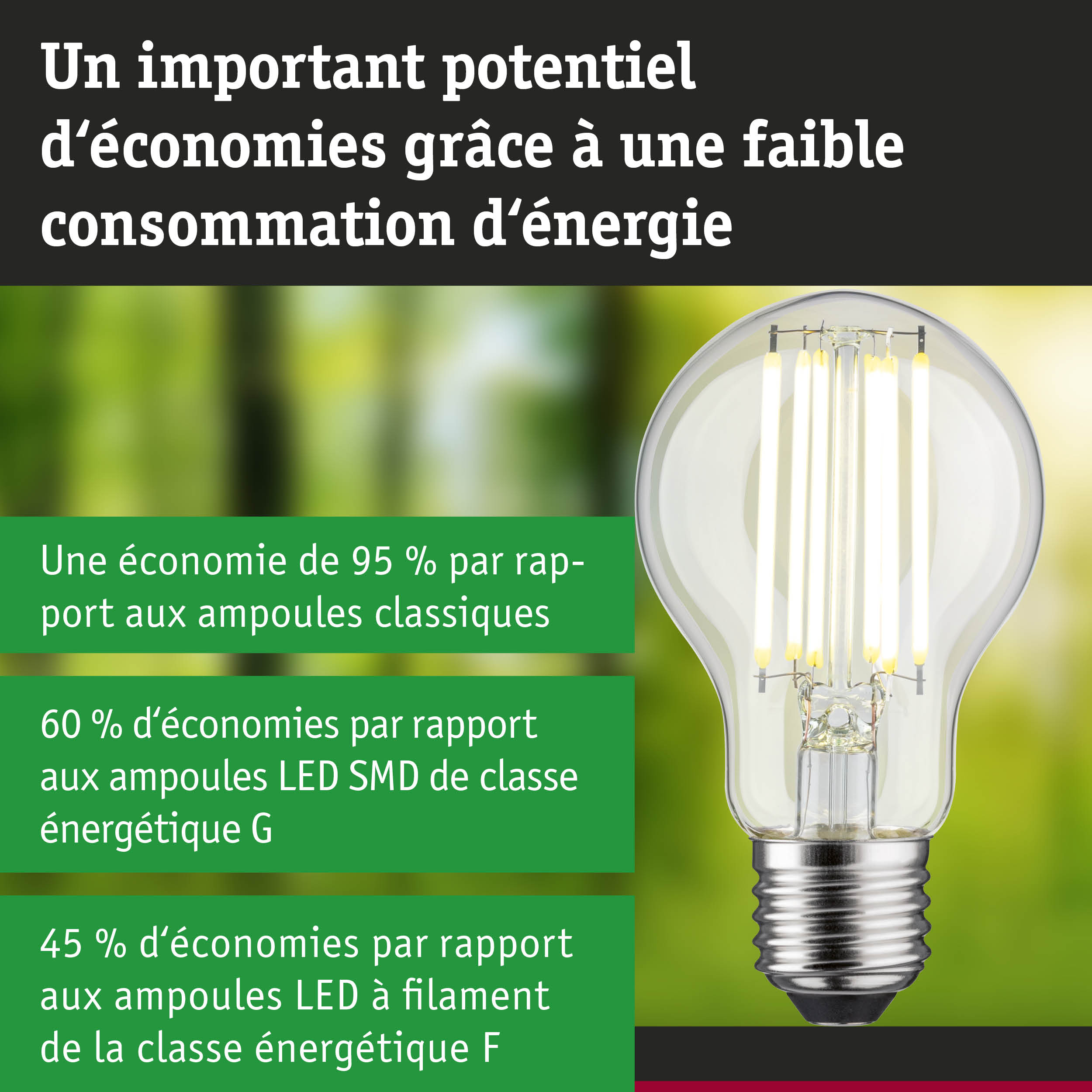 Ampoule LED économique à verre transparent et base argentée pour un éclairage durable et efficace