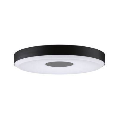 Round ceiling light with black metal frame and white diffuser, modern LED indoor lighting fixture