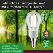 Klarer LED-Leuchtmittel mit warmweißem Licht und hoher Energieeffizienz vor grünem Waldhintergrund