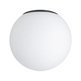 Round ceiling light with white glass and black rim, modern LED indoor lighting fixture