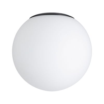 Round ceiling light with white glass and black rim, modern LED indoor lighting fixture