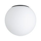 Round ceiling light with white glass and black rim, modern LED indoor lighting fixture