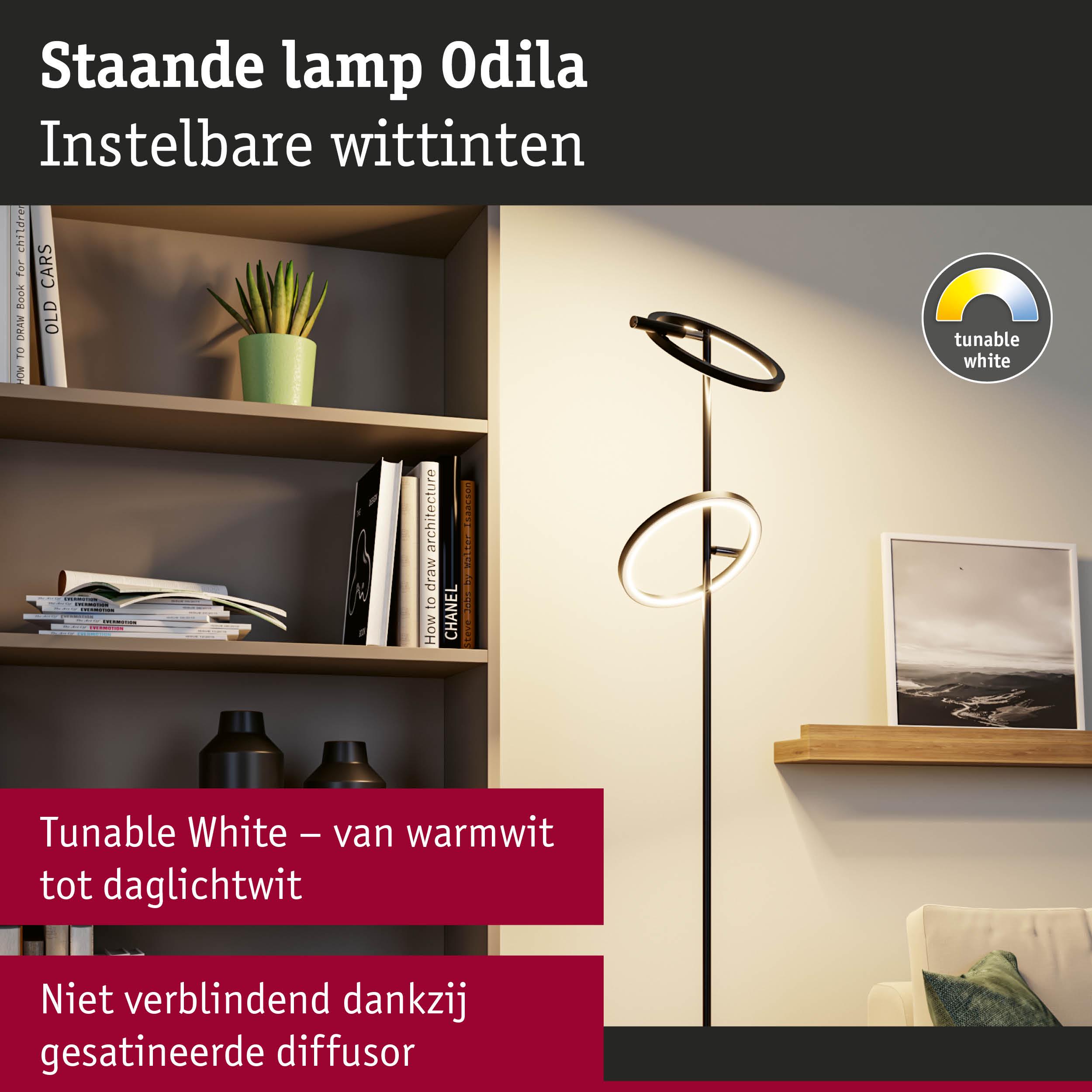 Staande lamp Odila met instelbare witten en gesatineerde diffusor voor niet-verblindend licht