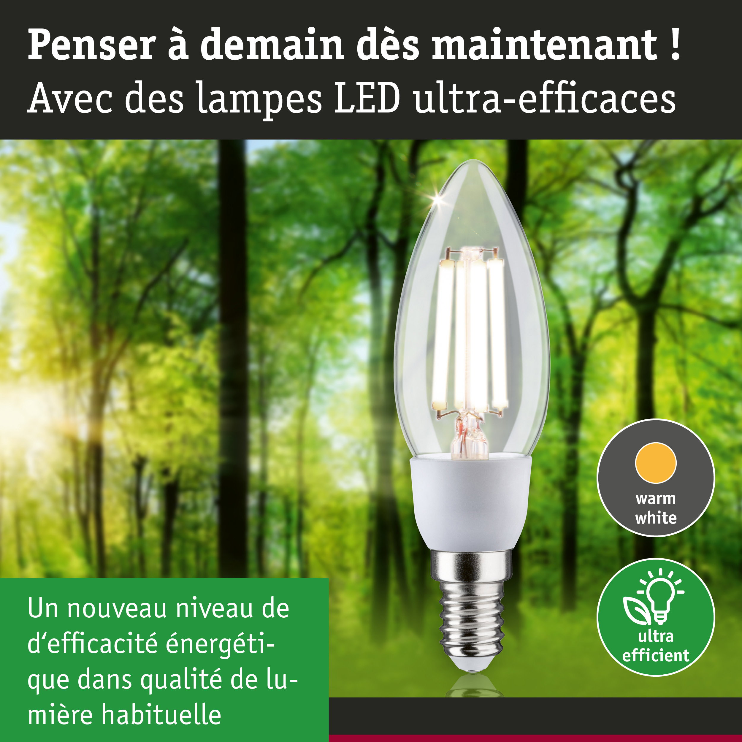 Ampoule LED claire en forme de bougie avec lumière blanc chaud et ultra-efficace