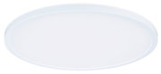 Plafonnier LED rond blanc en plastique pour un éclairage économique de la pièce