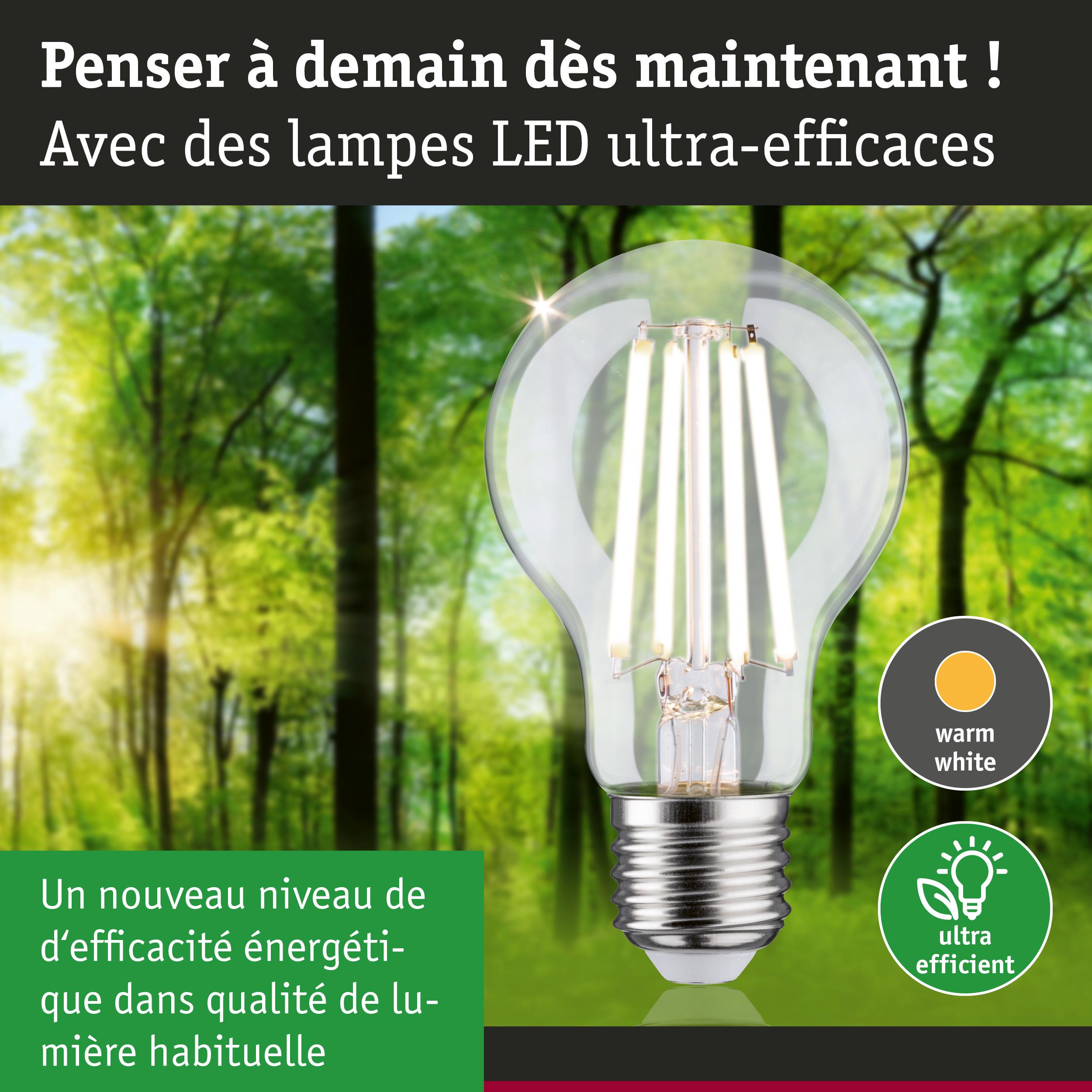 Ampoule LED blanc chaud ultra-efficace en énergie sur fond de forêt verte lumineuse