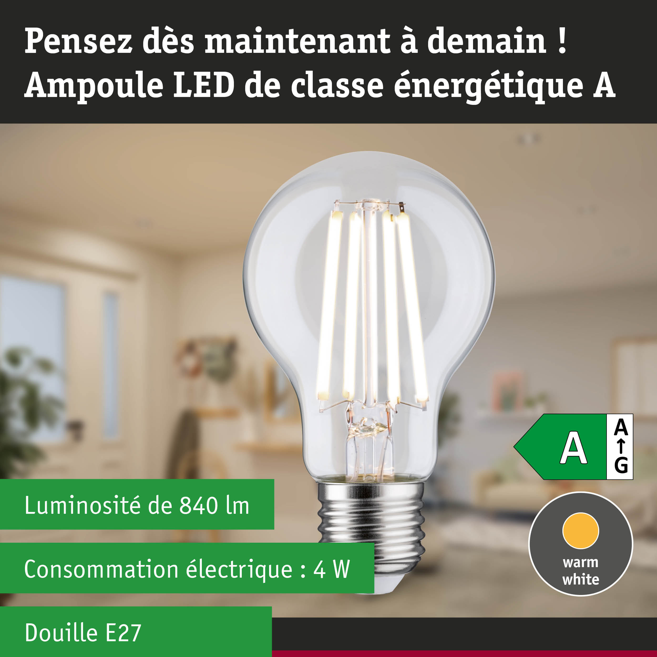 Ampoule LED à lumière blanc chaud et ultra-efficace sur fond de forêt verte