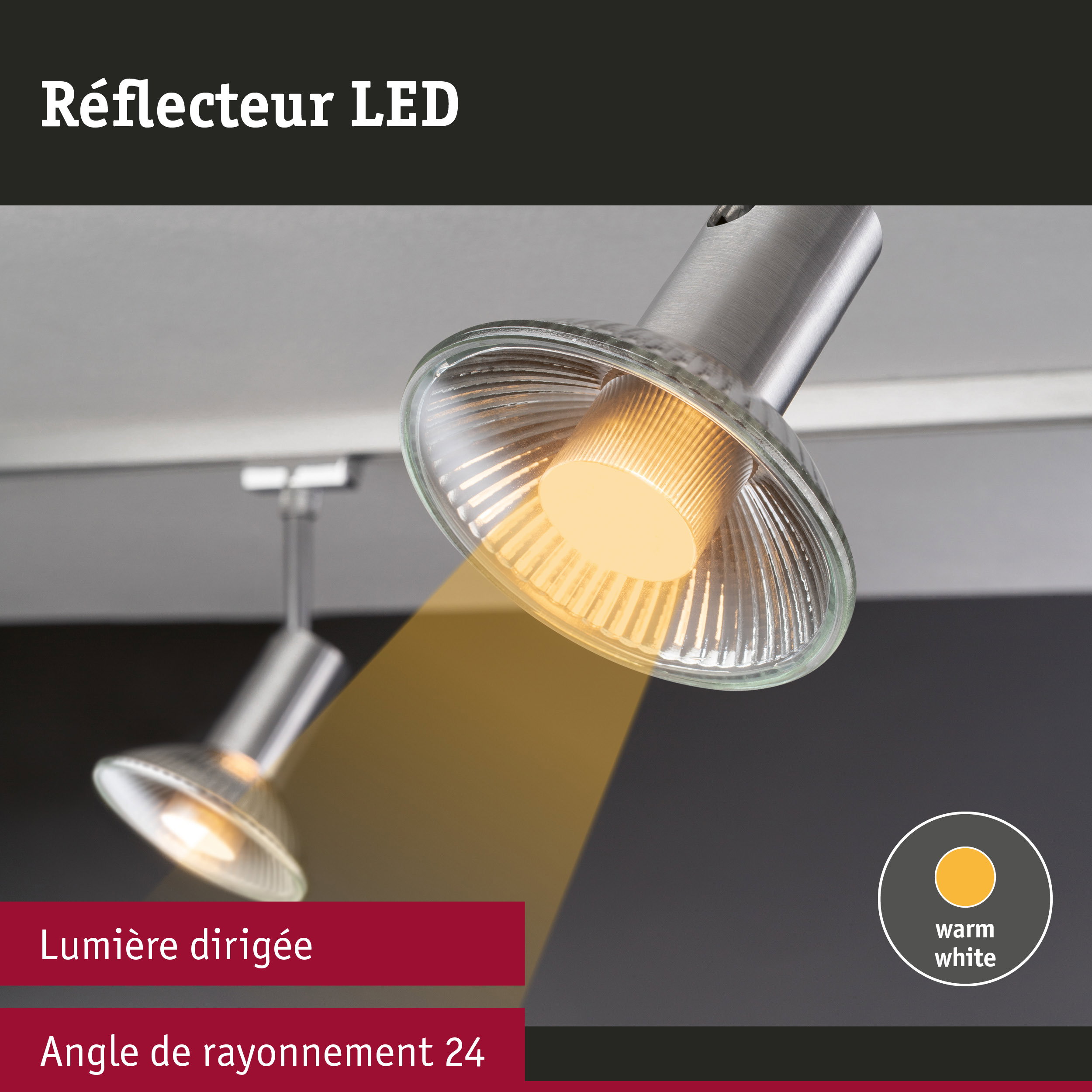 Réflecteur LED en métal brossé avec lumière blanc chaud et angle de rayonnement de 24 degrés