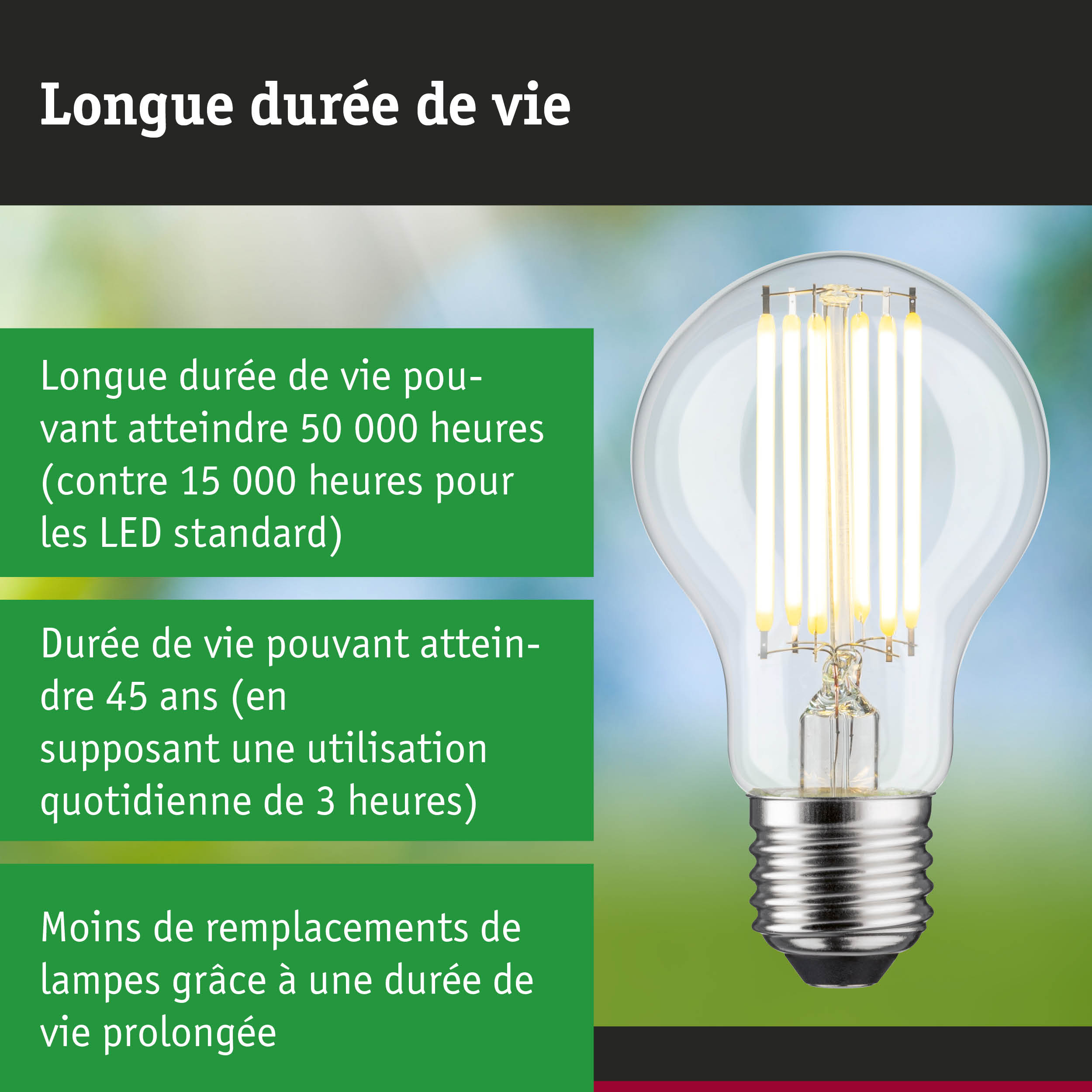 Ampoule LED à longue durée de vie tenue en main, lampe LED économique avec 50 000 heures d'éclairage