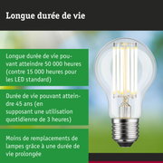 Ampoule LED à longue durée de vie tenue en main, lampe LED économique avec 50 000 heures d'éclairage