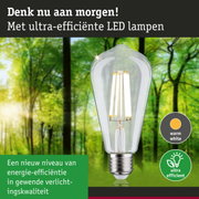 Transparante LED-lamp met warm wit licht en ultra-efficiënt energieverbruik tegen groene bosachtergrond