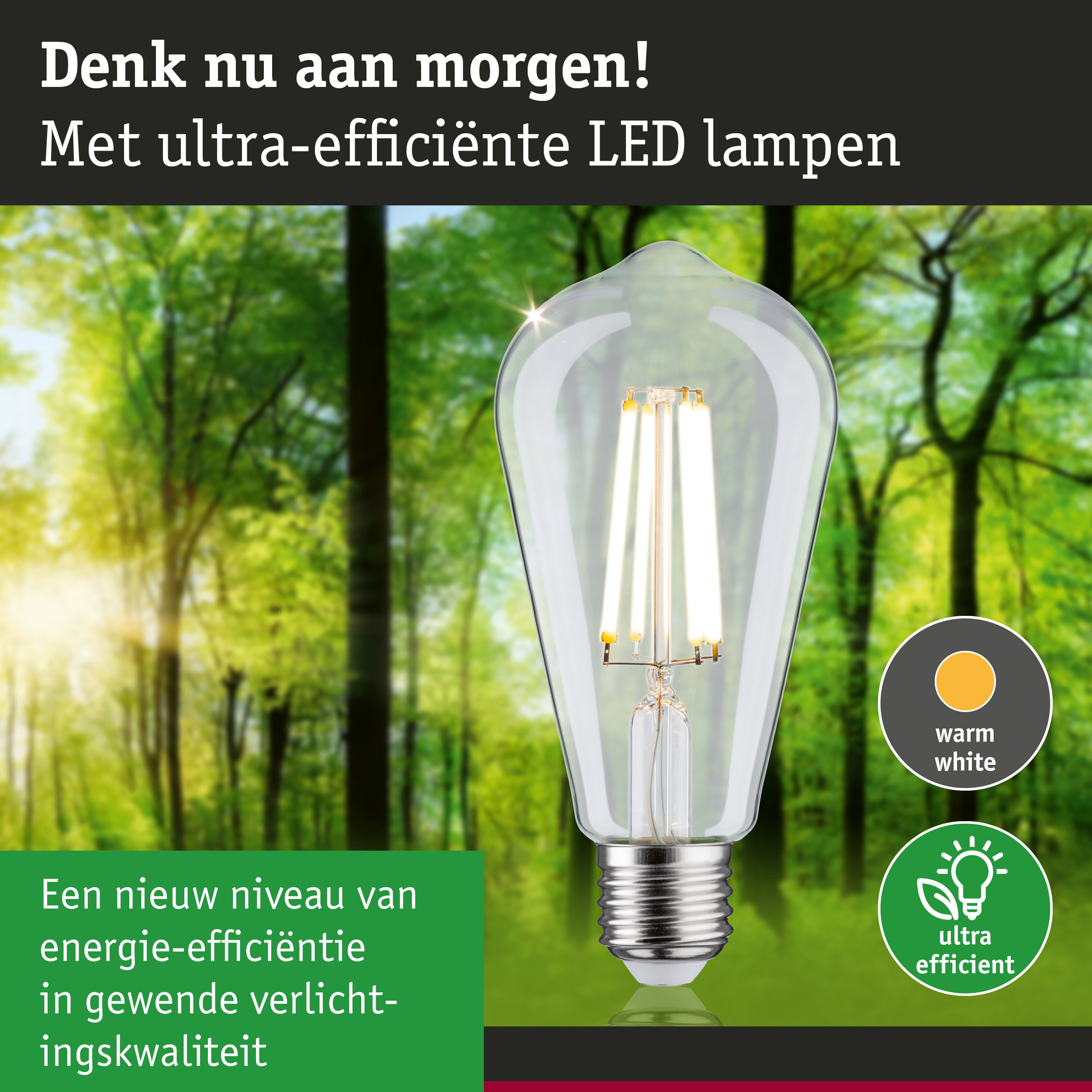 Transparante LED-lamp met warm wit licht en ultra-efficiënt energieverbruik tegen groene bosachtergrond