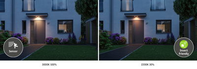 Moderne Außenwandleuchte mit Sensor und insektenfreundlichem warmweißem Licht vor Haustür.