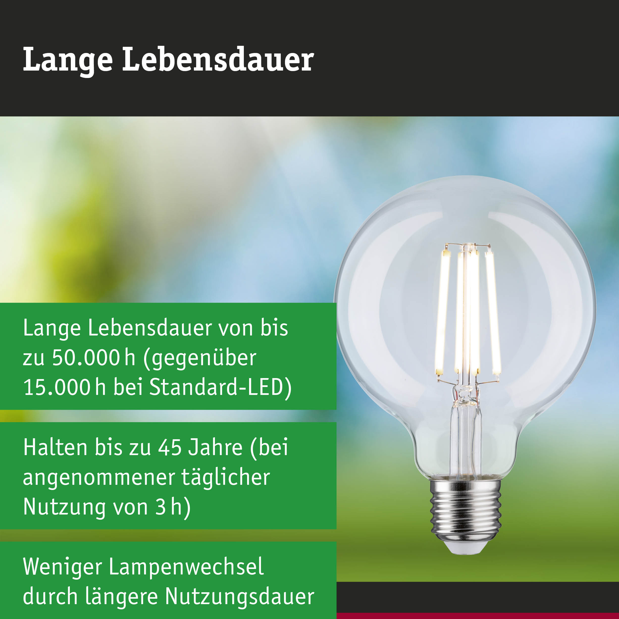 Efficient-Line Filament 230V LED Globe G95 E27 840lm 4W 4000K Klar
