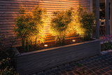 Outdoor warm white LED recessed floor lights illuminating green plants against wooden wall.
