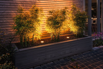 Outdoor warm white LED recessed floor lights illuminating green plants against wooden wall.