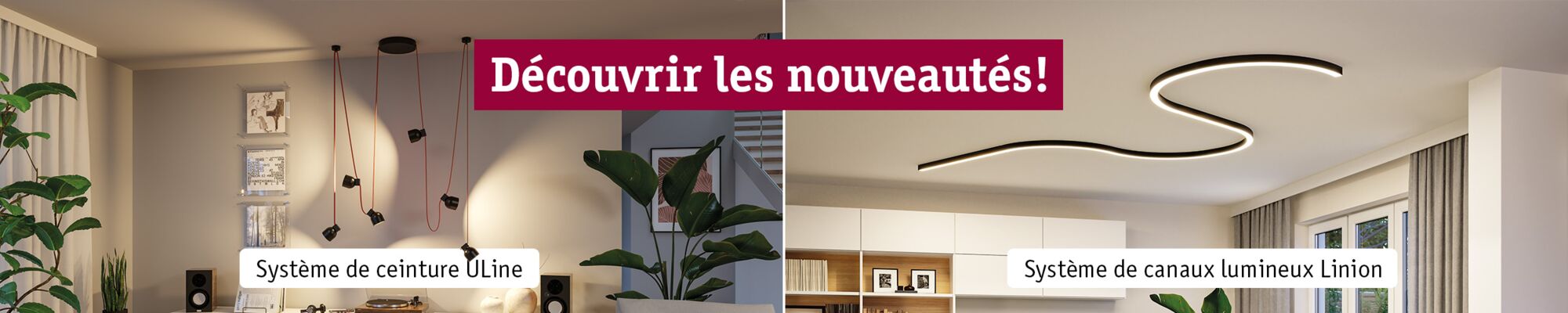 Neuheiten Entdecken Banner